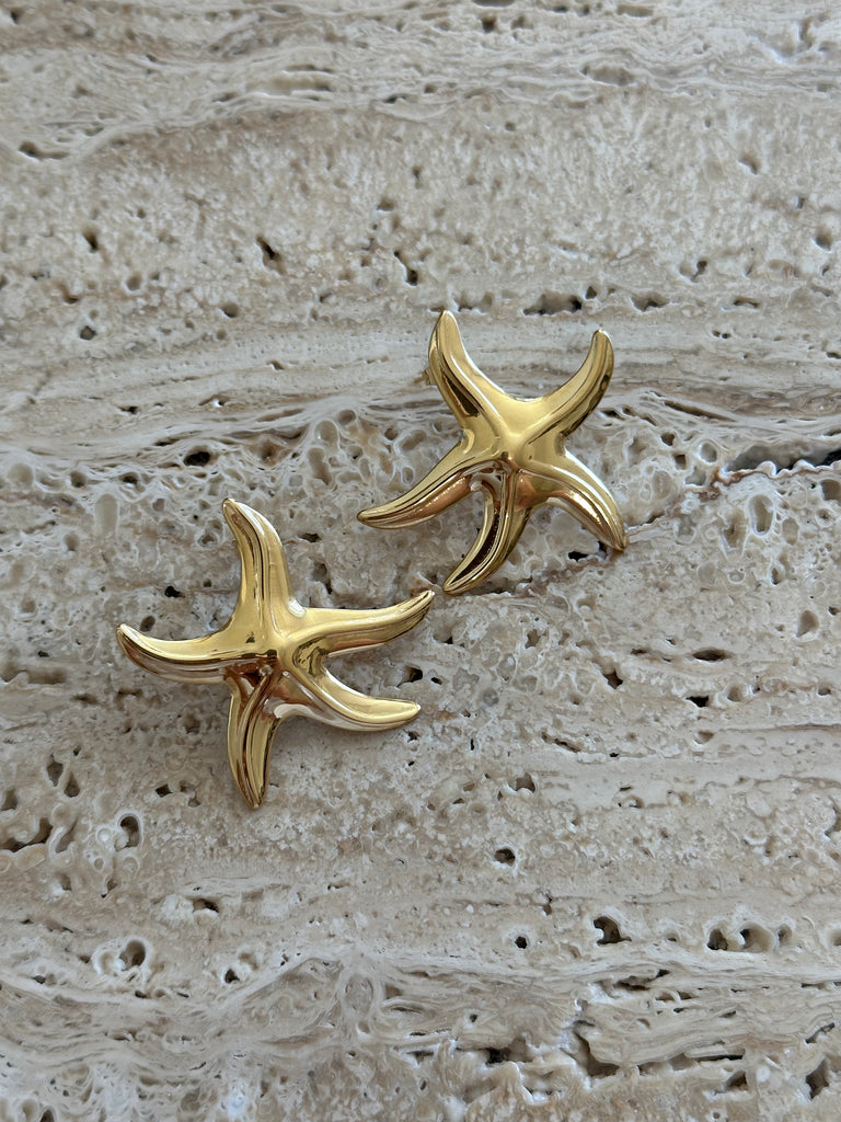 Orecchini stella marina liscio