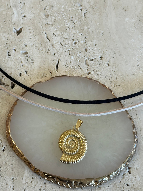 Charm conchiglia AMMONITE