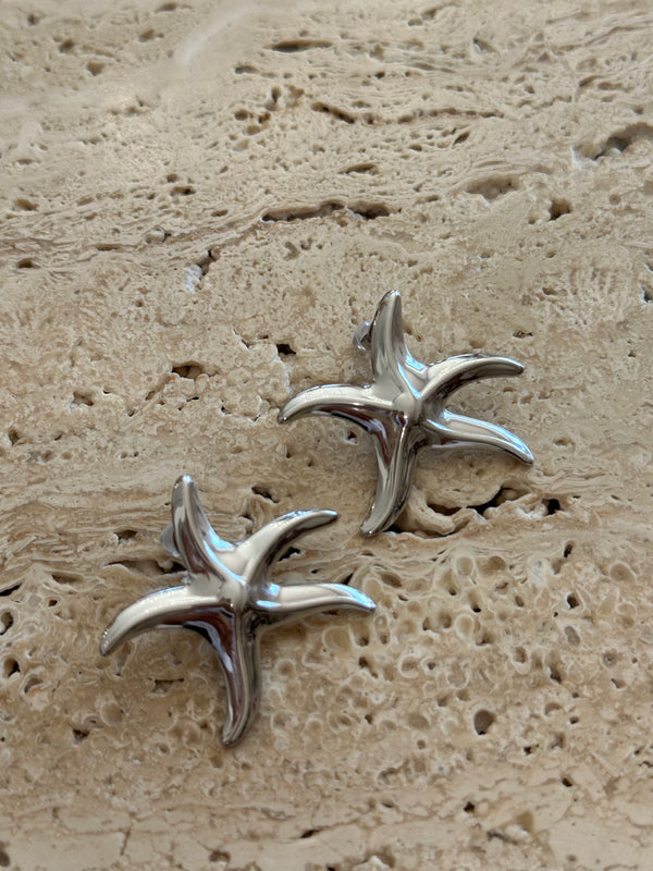 Orecchini stella marina liscio